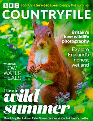 BBC Countryfile №216 Nature (2024)