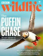 Magazine cover BBC Wildlife № May 2024