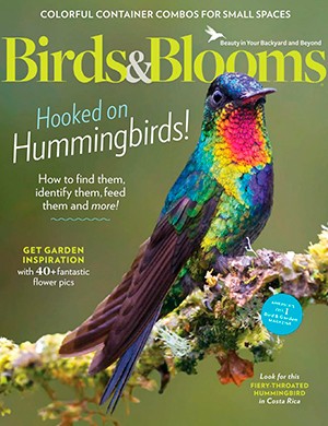 Birds and Blooms June-July (2024)