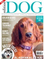 Magazine cover Edition Dog №67 2024