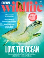 Magazine cover BBC Wildlife № June 2024