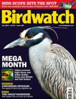 Magazine cover Birdwatch №385 US July 2024