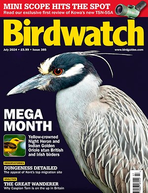 Birdwatch №385 US July (2024)