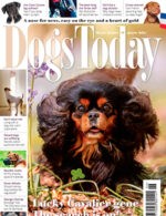 Magazine cover Dogs Today №US June 2024