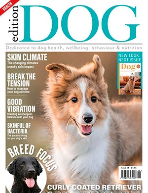 Edition Dog №68 (2024)