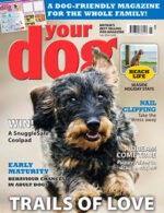 Magazine cover Your Dog № July 2024