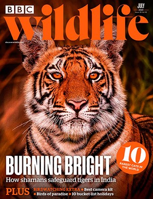 BBC Wildlife №8 volume 42 July (2024)