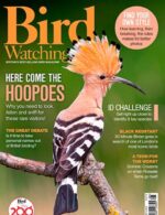 Magazine cover Bird Watching №UK August 2024