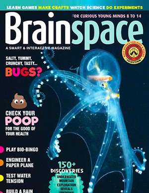 Brainspace August-September (2024)