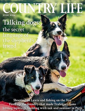 Country Life UK 24 July (2024)