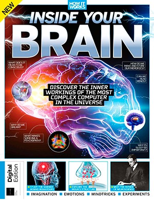 How It Works Inside Your Brain 5th edition (2024)