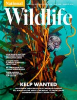 Magazine cover National Wildlife № Summer 2024