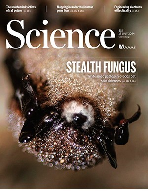 Science 12 July (2024)