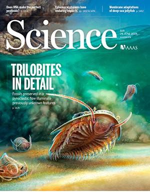 Science №6703 volume 384 june (2024)