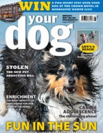 Magazine cover Your Dog № August 2024