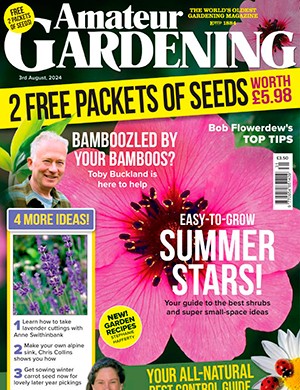 Amateur Gardening 3 August (2024)