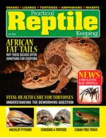 Magazine cover Practical Reptile Keeping № July 2024