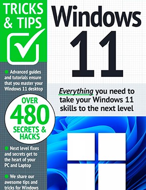 Windows 11 Tricks and Tips 12th Edition (2024)