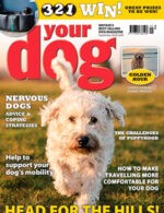 Magazine cover Your Dog № September 2024