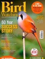 Magazine cover Bird Watching № Autumn 2024