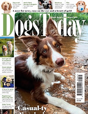 Dogs Today №361 UK August (2024)