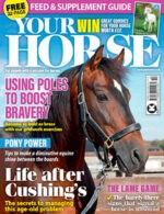 Magazine cover Your Horse №522