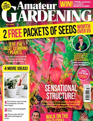 Amateur Gardening October 26 (2024)