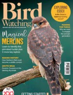 Magazine cover Bird Watching №UK October 2024