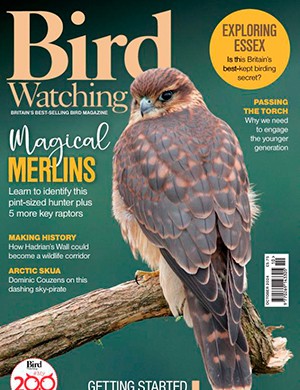 Bird Watching UK October (2024)