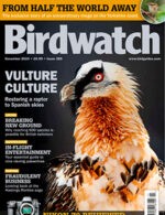 Magazine cover Birdwatch №11 UK November 2024