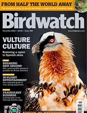 Birdwatch №11 UK November (2024)