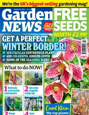 Garden News October 26 (2024)