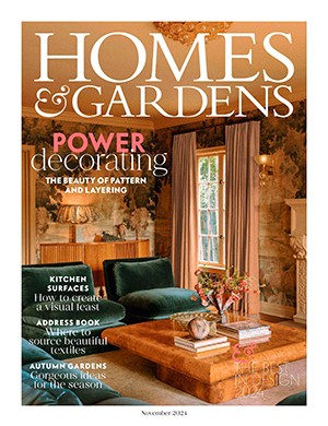 Homes and Gardens UK November (2024)