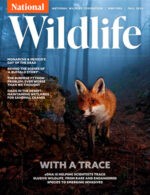 Magazine cover National Wildlife № Fall 2024