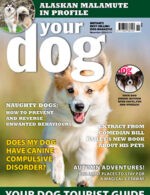 Magazine cover Your Dog № November 2024