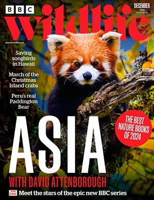 BBC Wildlife №12 December (2024)