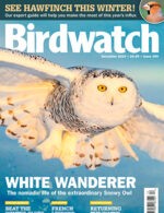 Magazine cover Birdwatch №UK December 2024