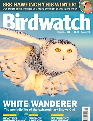 Birdwatch Uk December (2024)