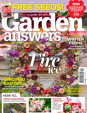 Garden News №12 December (2024)