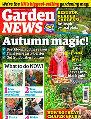 Garden News November 23 (2024)