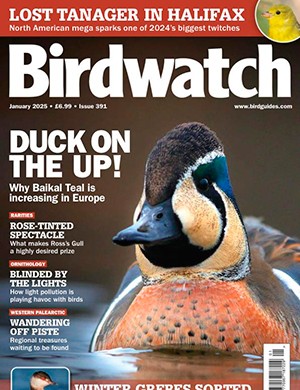 Birdwatch UK January (2025)