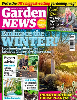 Garden News November 30 (2024)