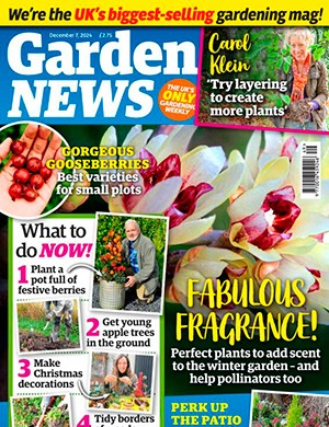 Garden News December 7 (2024)