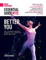 Magazine cover New Scientist №25 the Essential Guide 2025