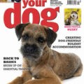 Magazine cover Your Dog № February 2025
