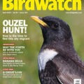 Magazine cover Birdwatch №UK April 2025