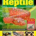 Magazine cover Practical Reptile Keeping № February 2025