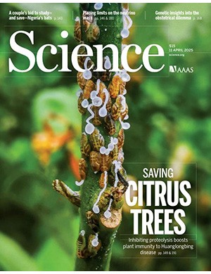 Science №6743 April 11 (2025)