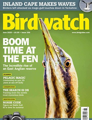 Birdwatch №396 UK June (2025)