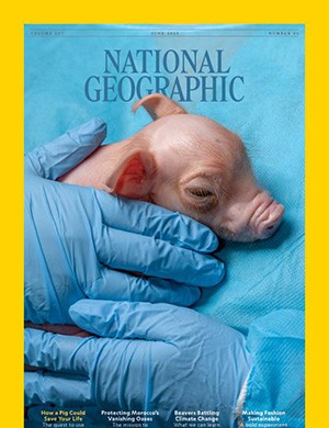 National Geographic №6 USA June (2025)
